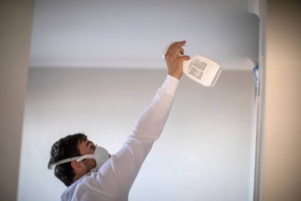 Best Certified Mold Removal  in Nazareth, PA