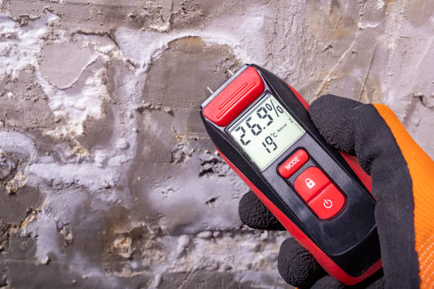 Best Residential Mold Removal  in Nazareth, PA