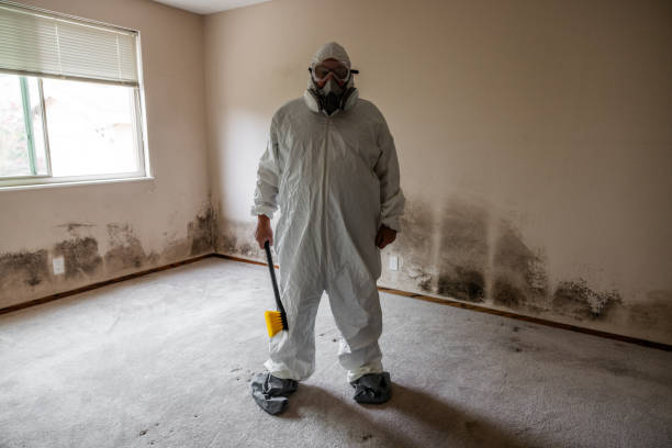 Crawl Space Mold Removal in Nazareth, PA